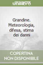 Grandine. Meteorologia, difesa, stima dei danni libro di Borin Maurizio - Caprera Paolo - Tullio Leonardo