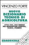 Forte Vincenzo