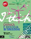 Hoefnagels Marielle; Mangiullo Roberto; Stanca Eleonora