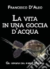 D'Aleo Francesco