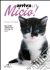 Magno Nicoletta