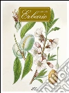Celli Lucia