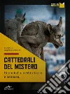 Cerinotti A. (cur.)