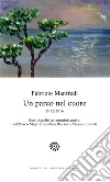 Manfredi Fabrizio