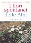 Anzilotti Alessandro - Innocenti Andrea - Rugi Roberto