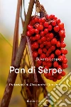 Loppoli Silvano