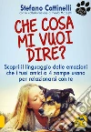 Cattinelli Stefano