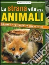 non specificato