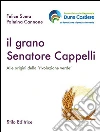 Suma Felice; Cannone Palmina