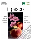 non specificato