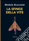 Bracciotti Michele