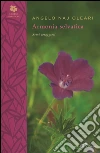 Naj-Oleari Angelo