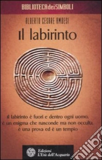 Il labirinto libro di Ambesi Alberto C.