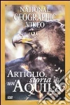non specificato