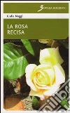 Magg� Giulia M.