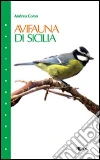 Corso Andrea