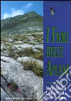Ansaldi Maria; Medda Enrico; Plastino Sara