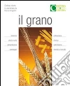 Viggiani Pasquale; D'Egidio M. Grazia; Saviotti Bruna; Angelini R. (cur.); Di Fonzo N. (cur.)