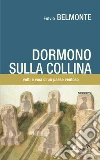 Belmonte Fulvio
