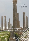 Zotto Pierluigi; Lo Russo Sergio; Sartori Paolo