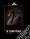 Iacono Fabio S. P.