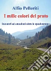 Pelleriti Alfio