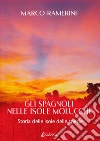 Ramerini Marco